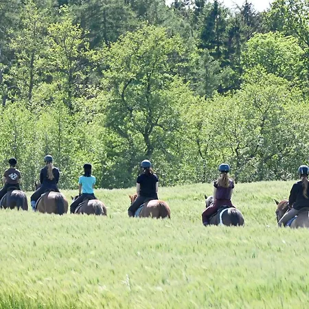 Luxuswellnesshaus Lotsenhus *